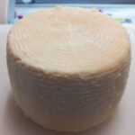 Caciotta 1° Sale