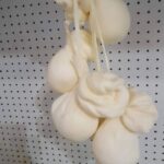 Scamorza